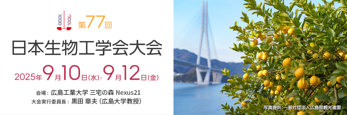 スライド日本語3