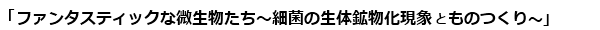 2014年度北日本支部市民フォーラム 「ファンタスティックな微生物たち ～細菌の生体鉱物化現象とものつくり～」