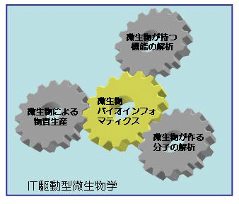 IT駆動型微生物学研究部会説明図