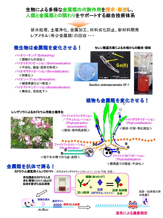 メタルバイオテクノロジー研究部会　研究紹介図