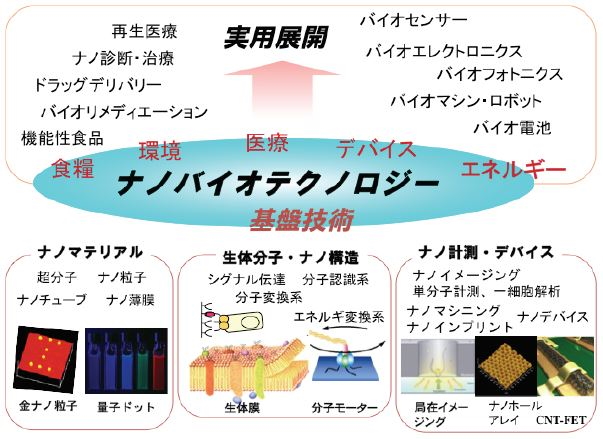 ナノバイオテクノロジー研究部会 研究紹介図