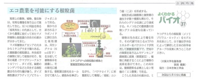 Fuji Sankei Business i 　企画特集『よくわかるバイオ』　2017年4月19日掲載　「エコ農業を可能にする根粒菌」